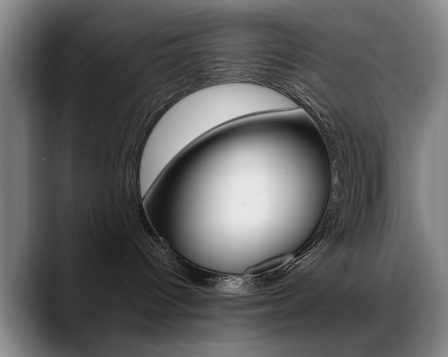 X0000089370096200706150852