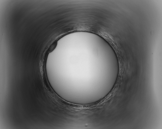 X0000089370098200706150851