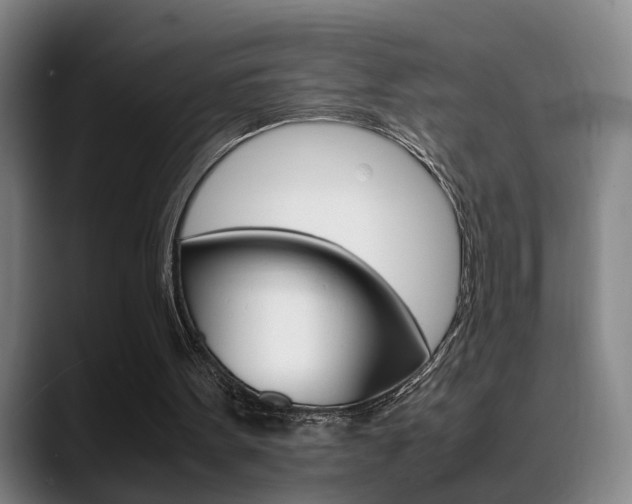 X0000089370099200706150851