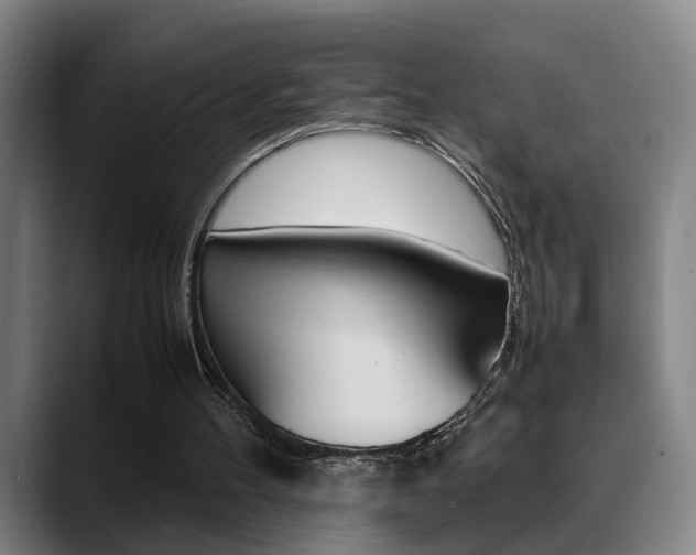 X0000089370100200706150851