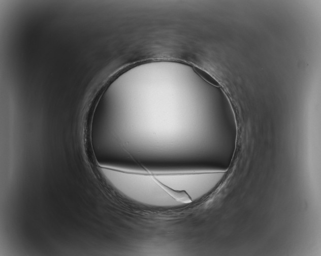 X0000089370103200706150851