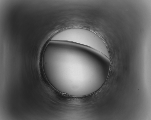 X0000089370104200706150851