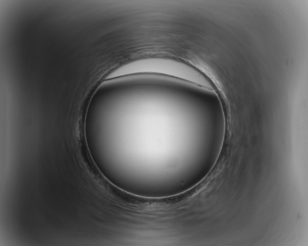 X0000089370105200706150851