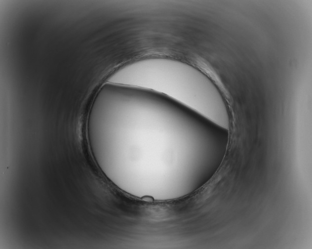X0000089370106200706150851