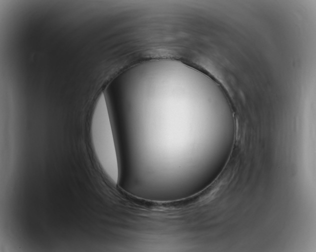 X0000089370109200706150851