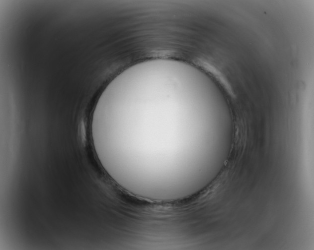 X0000089370110200706150851