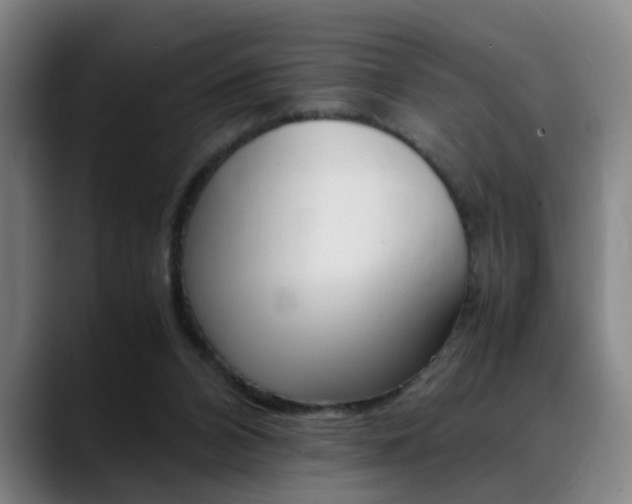 X0000089370112200706150851