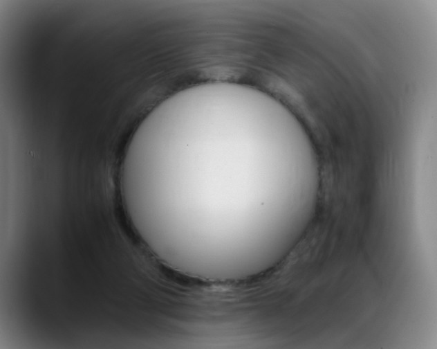 X0000089370114200706150851