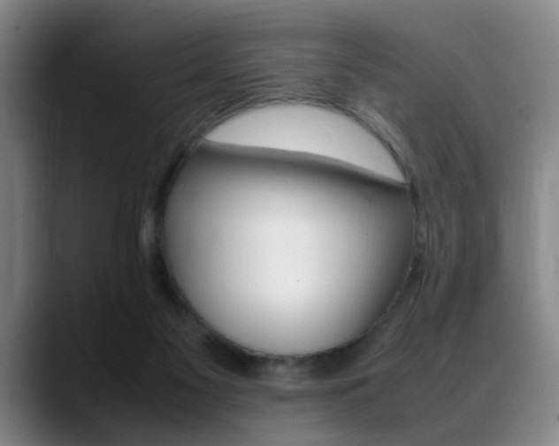 X0000089370117200706150851
