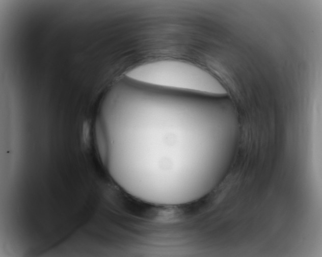 X0000089370118200706150851