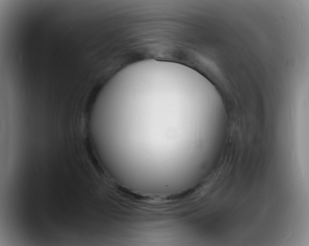 X0000089370121200706150851