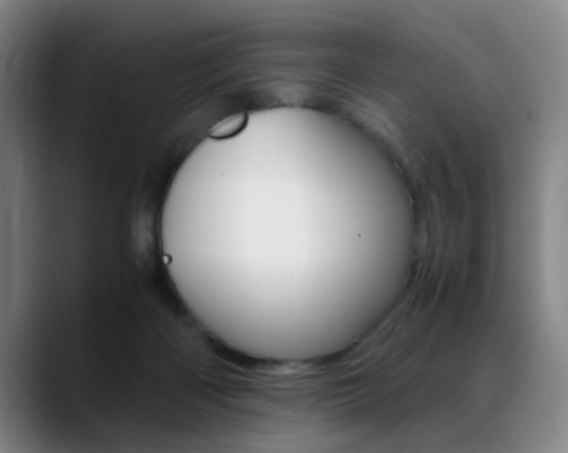 X0000089370122200706150851