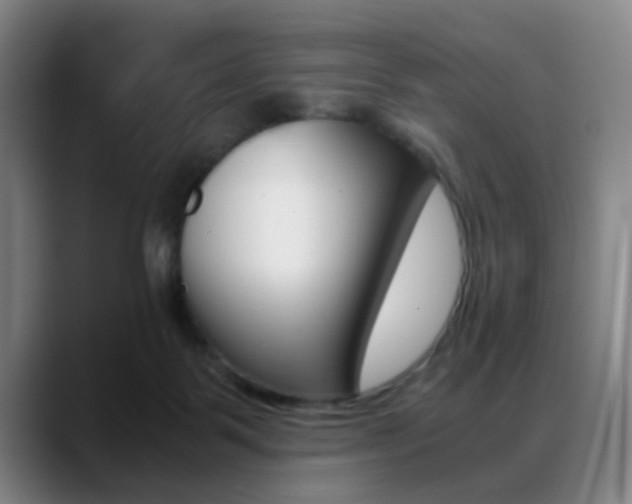 X0000089370123200706150851