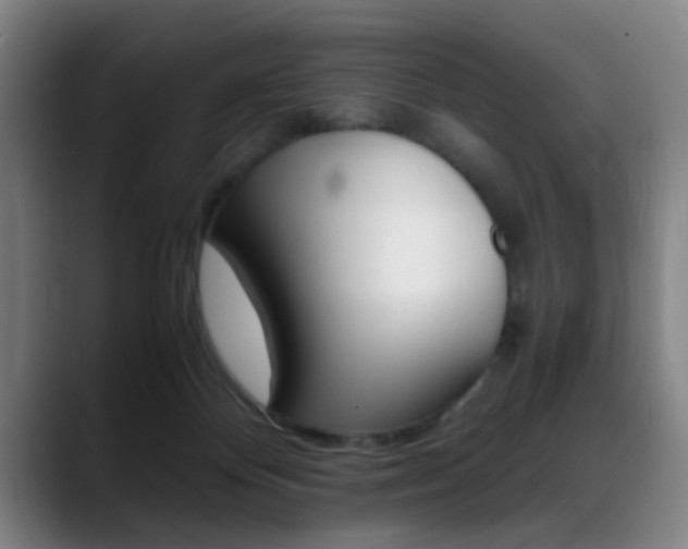 X0000089370124200706150851