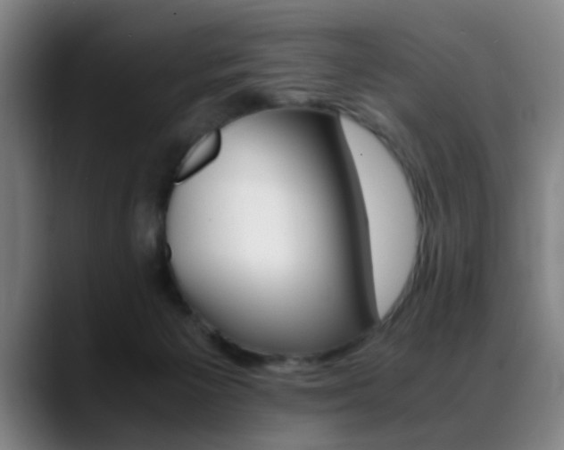 X0000089370125200706150851