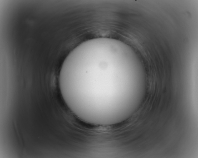 X0000089370126200706150851