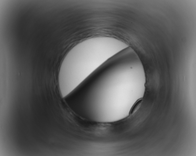 X0000089370128200706150851