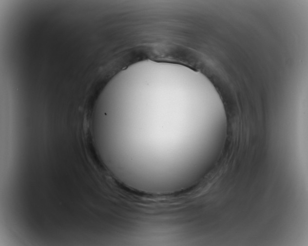 X0000089370129200706150851