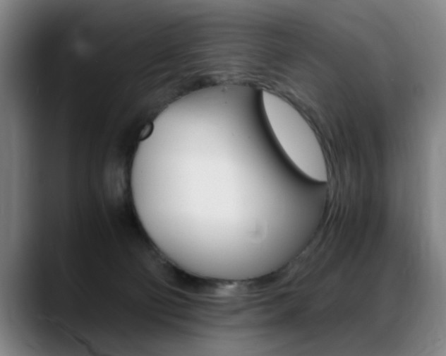 X0000089370130200706150851