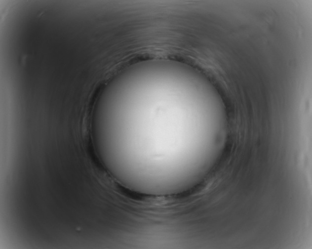 X0000089370131200706150851