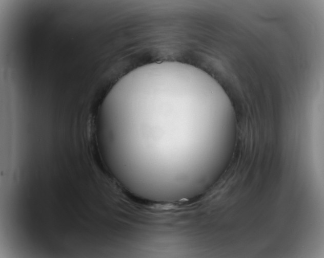 X0000089370133200706150851