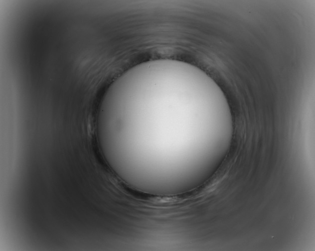 X0000089370135200706150851