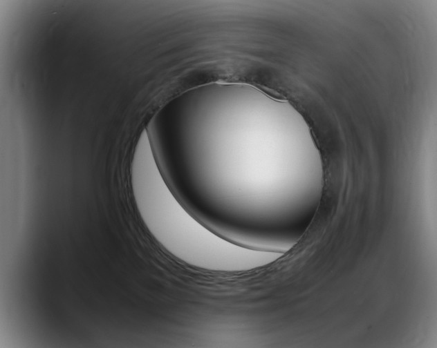 X0000089370137200706150851