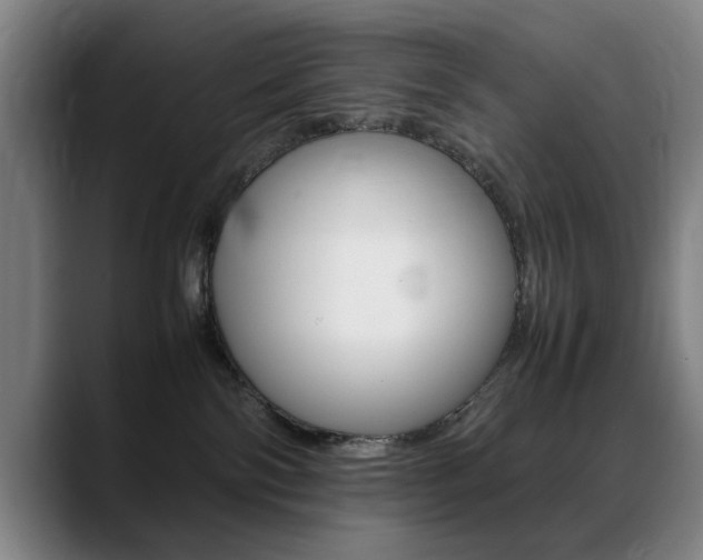 X0000089370138200706150851