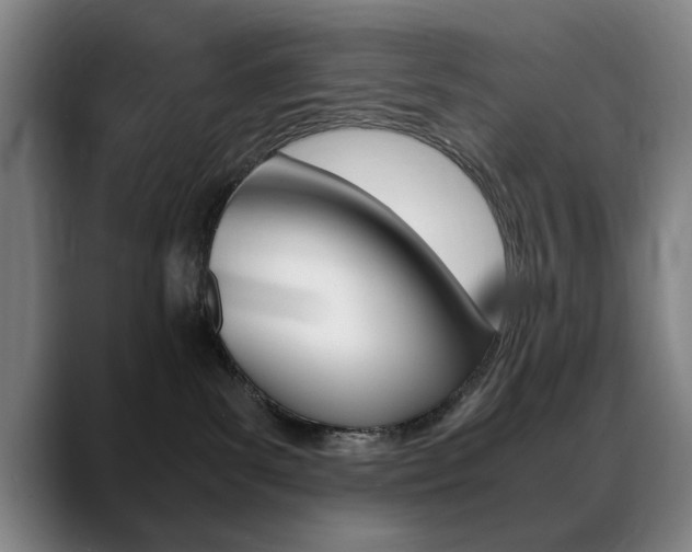 X0000089370139200706150851