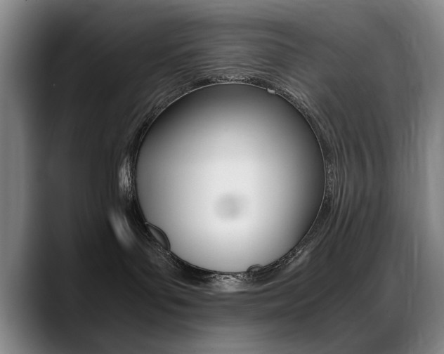 X0000089370143200706150851