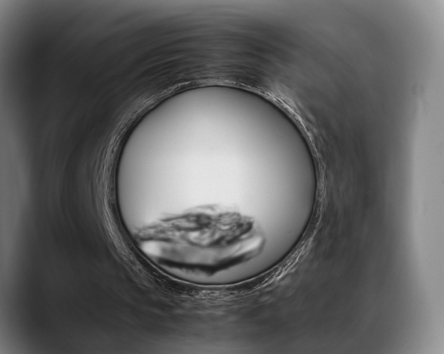 X0000089370145200706150850