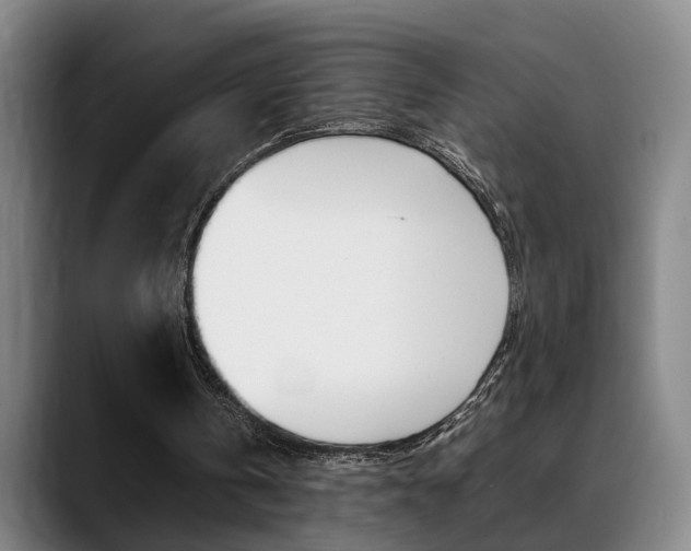 X0000089370146200706150850