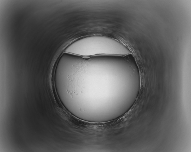 X0000089370147200706150850