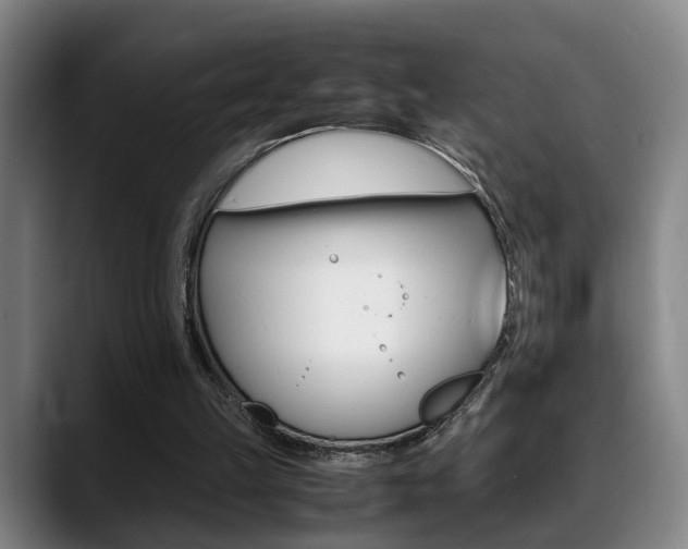 X0000089370149200706150850