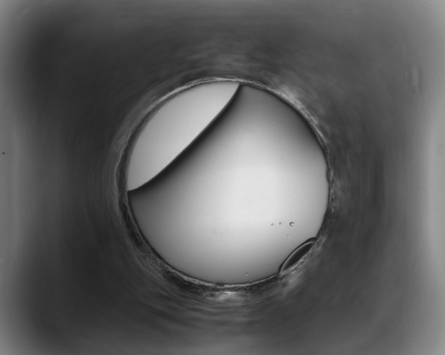X0000089370151200706150850