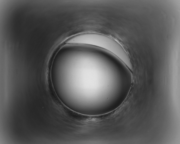 X0000089370152200706150850