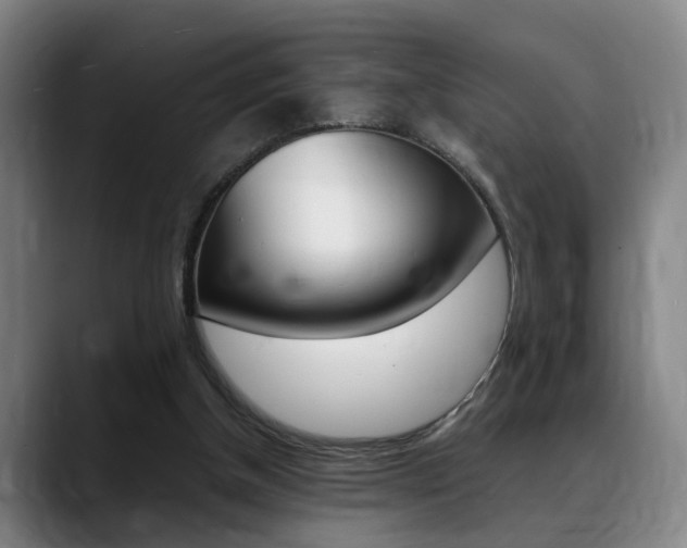 X0000089370154200706150850