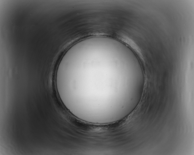 X0000089370155200706150850