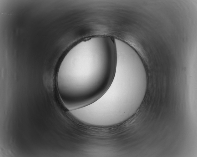 X0000089370156200706150850