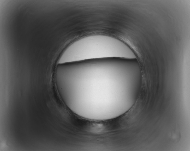 X0000089370159200706150850