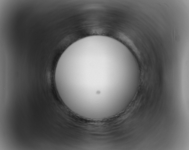 X0000089370161200706150850