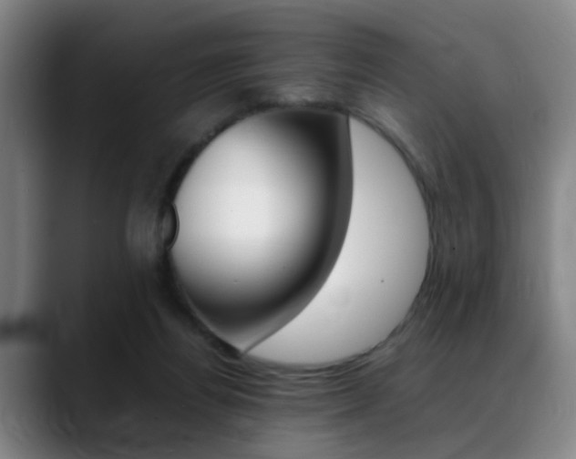 X0000089370164200706150850