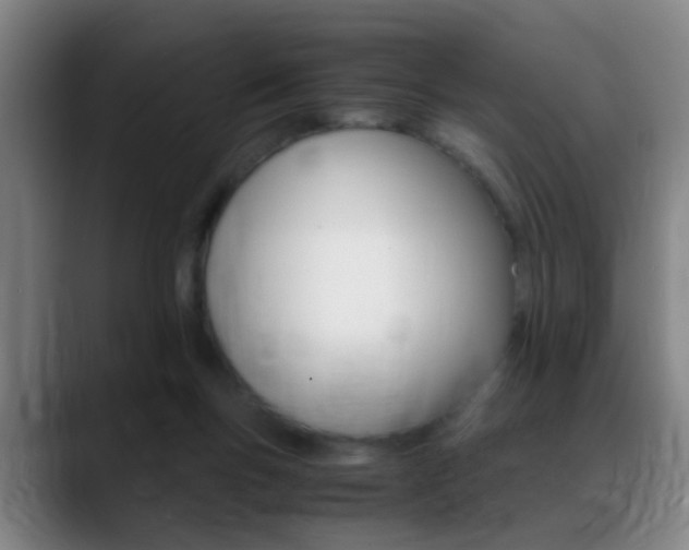 X0000089370167200706150850
