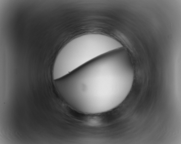X0000089370169200706150850
