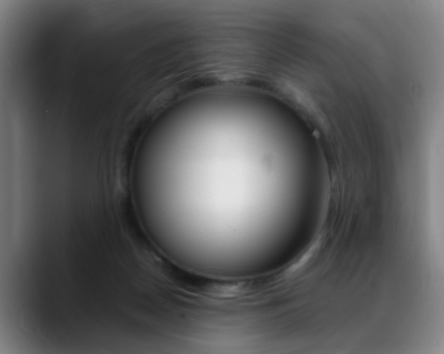 X0000089370170200706150850