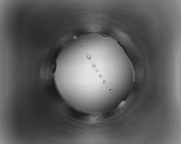 X0000089370172200706150850