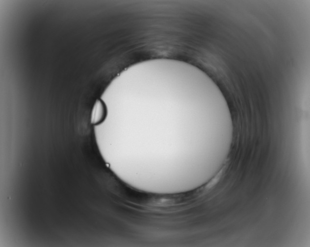 X0000089370174200706150850