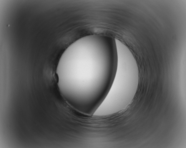X0000089370176200706150850