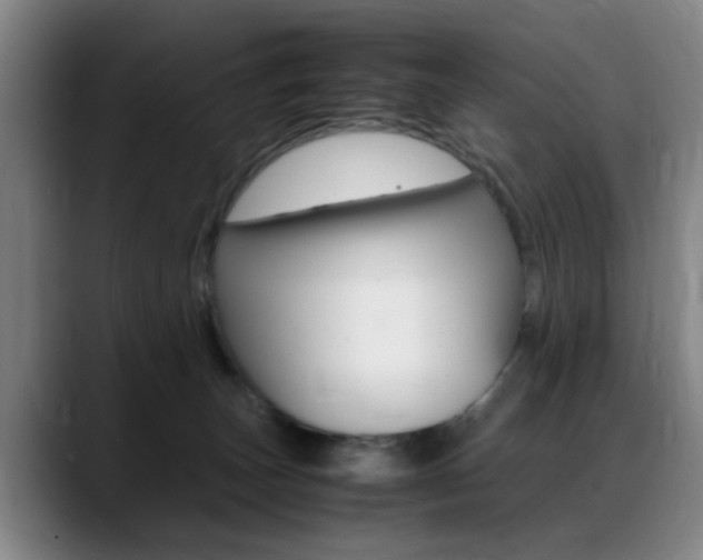 X0000089370179200706150850