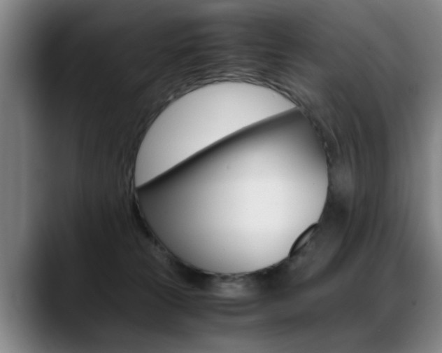 X0000089370181200706150850
